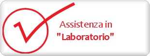 Assistenza Laboratorio di Micro Service